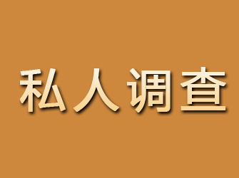 新建私人调查